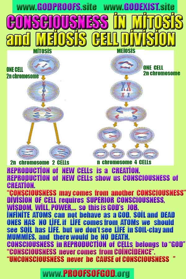proofs of god, evidences of god, signs of god, god-proofs, proofs-god