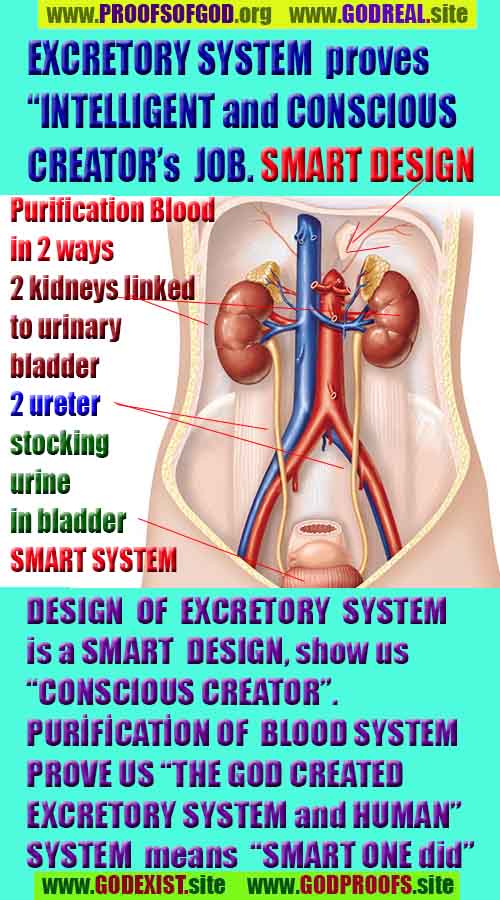 proofs of god, evidences of god, signs of god, god-proofs, proofs-god