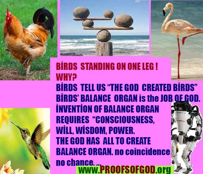 proofs of god, evidences of god, signs of god, god-proofs, proofs-god